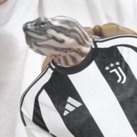 Pocho⁰¹🦥 #11 (@__p0ch0__) 's Twitter Profile Photo Pocho⁰¹🦥 #11 (@__p0ch0__) 's Twitter Profile Photo