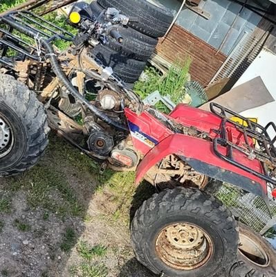 ray703042068506's profile picture. 