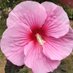 Birgit Gadow (@birgitgado79852) Twitter profile photo Birgit Gadow (@birgitgado79852) Twitter profile photo