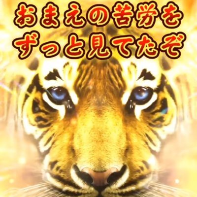 87さんのプロフィール画像