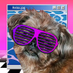 wibling (@wiblingg) Twitter profile photo wibling (@wiblingg) Twitter profile photo