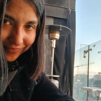 Elefanta (@elefervesc) 's Twitter Profile