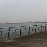 محمد العمري (@harbe_10) 's Twitter Profile