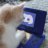 neeshviewer's profile picture. im just a viewer ok
leave me alone