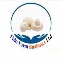 FidoLtd5251's profile picture. 