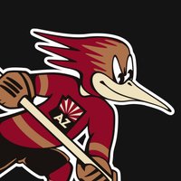 Tucson Roadrunners (@roadrunnersahl) 's Twitter Profile