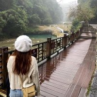 Maggie (@alexzacewmasn) 's Twitter Profile