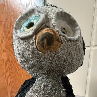 amberwaddle_'s profile picture. so many interesting things in my brians (🧠)