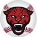 Horn Jags Baseball (@hornjbaseball) Twitter profile photo