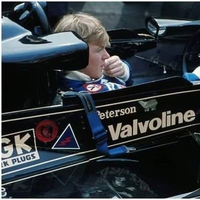 emanuele_c55592's profile picture. #formula1
#f1goldenera
#ronniepeterson
#monzacircuit
#antifascista
#mercedes
#lewishamilton