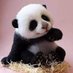Nguyen Phuong (@nguyenphuo75) Twitter profile photo Nguyen Phuong (@nguyenphuo75) Twitter profile photo