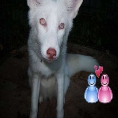 l2rt8vjed's profile picture. ⤴︎⠀ ⤴︎⠀ ⠀ ⠀ ⠀ ⠀ ⠀花⠀ ⠀握り⠀ ⠀ささくれ