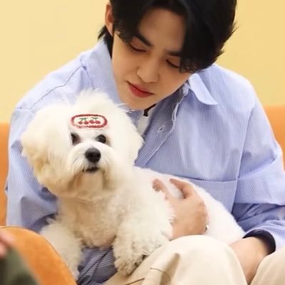 even if my love only amounts to this, i’ll be your spring during any winter @pledis_17.