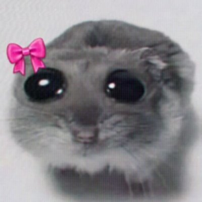 anve3ksha's profile picture. apologetically myself (self esteem issues)