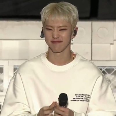 01' ✧˚ ༘ ⋆。♡˚ hoshi's gf (real) 🖇️ 🐯🐶🐈⬛🐸👼🏻