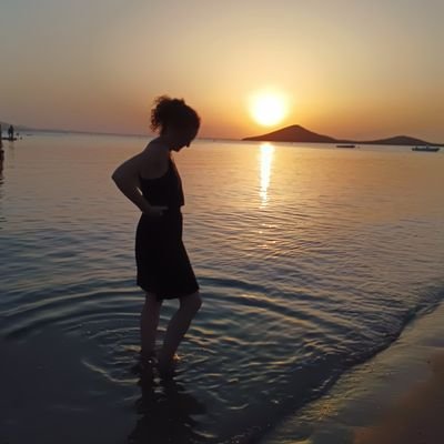 lopezsilp's profile picture. 