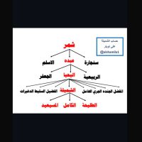 الشميلة ( الملّاله) (@alshamila1) 's Twitter Profile Photo