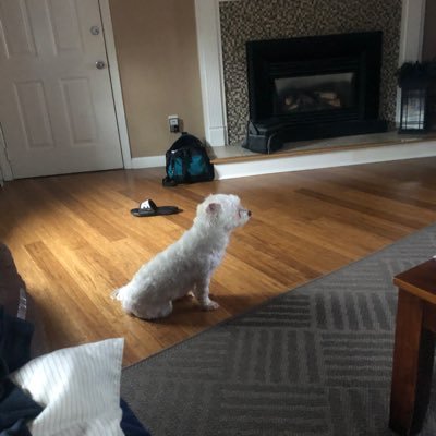 GaryCla39427817's profile picture. MAGA. Woke Hater. Union Man. Protect the Children. Father. Grandfather.