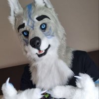 Fluffy Wolf (@flauschewolf) 's Twitter Profile