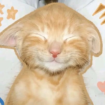 grxcebub's profile picture. —Idiosyncratic.