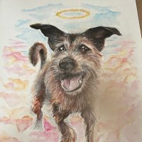 Chris Curtis (@_chriscurtis) 's Twitter Profile Photo