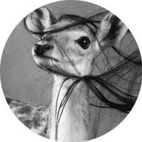 🦌🩵' (@b885_) 's Twitter Profile