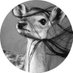 🦌🩵' (@b885_) Twitter profile photo 🦌🩵' (@b885_) Twitter profile photo