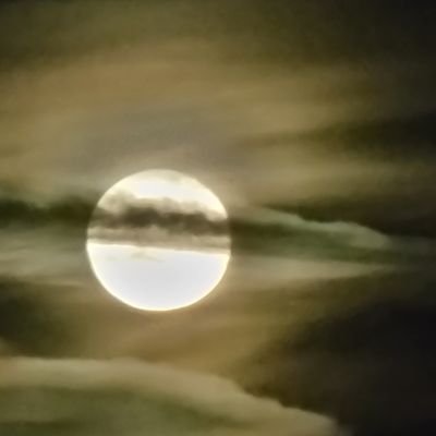 stuart_mcateer's profile picture. Stay Awake, stay Aware, stay Alert, stay Alive.