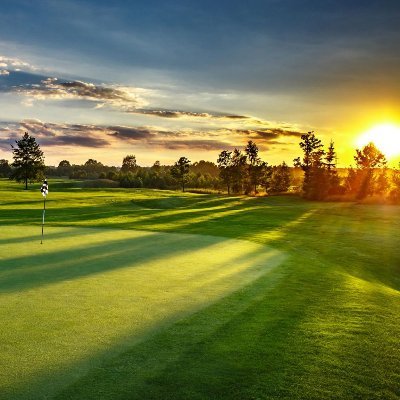 student of the game, amateur golf coach, always learning...