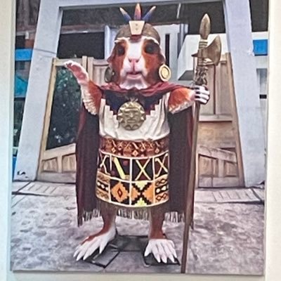 FawdonMag's profile picture. Dodgy accounts showing scantily clad young girls with links to hotgirls instantly blocked.