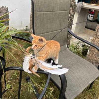 7r0j4n_66's profile picture. 男的 坐标021身份310 985毕业生 人工智能从业者。176cm73kg15cm粗粉硬翘。理科生脑袋，体育生身体。只线下，不搞线上虚拟。请打直球，江浙沪皆可。gay勿扰。