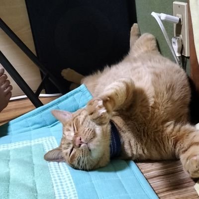 好きなことを大切に。