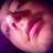 vincecamaggio's profile image