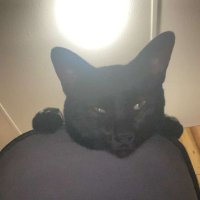 Trevon Roberts (@dynamiiicc) 's Twitter Profile
