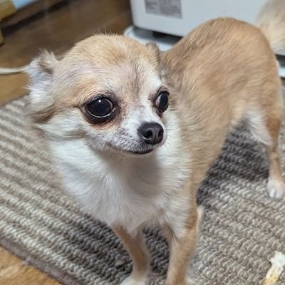 サンシさんのプロフィール画像