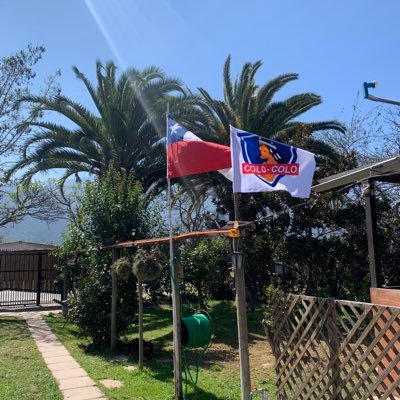 clisboa21's profile picture. Padre de 3 hijos, Colocolino, de la Ciudad de Melipilla. Chile.