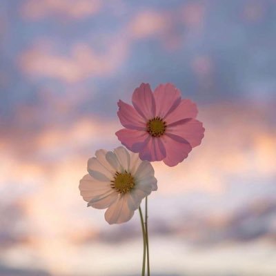 صانعة محتوى🌱 أُحب الفن وأصنع منهُ روحاً تشبهني✨حساب للأشغال اليدوية.