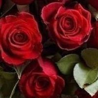 سارونه (@saraalhrbe10) 's Twitter Profile