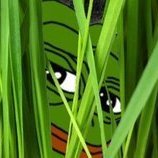 provider808's profile picture. ⚡💪🏽