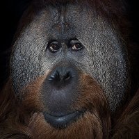 Fede (@fedegzmn) 's Twitter Profile Photo Fede (@fedegzmn) 's Twitter Profile Photo
