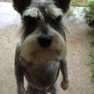 DorellMalach's profile picture. video editor / news junkie / brooklyn