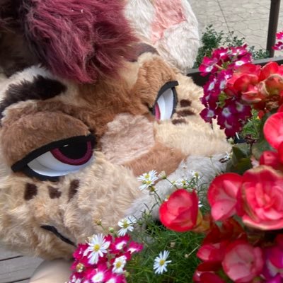 sniffnuts's profile picture. 22 | Pan | Giraffe |🇨🇦| 🔞 NO MINORS | I’m just silly I guess