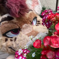Kamilo 🩷 (@sniffnuts) 's Twitter Profile Photo Kamilo 🩷 (@sniffnuts) 's Twitter Profile Photo