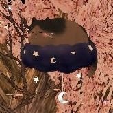 게임계// 마비노기(류트),모비노기,카그체 //성인여성