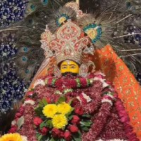 Charu Sharma (@charusharm10867) 's Twitter Profile