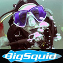 London PADI and SSI scuba diving training, offering courses and UK dive trips.