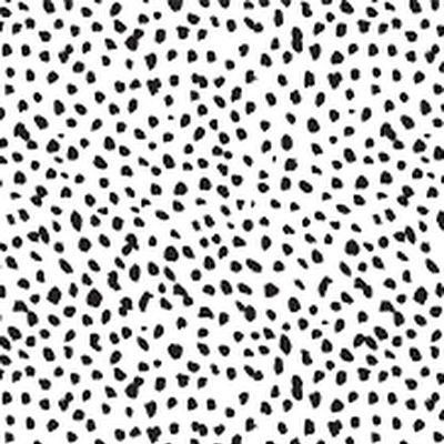 LillyCole64872's profile picture. 