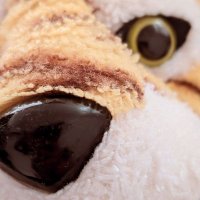 m. (@m_m_m_0pu) 's Twitter Profile
