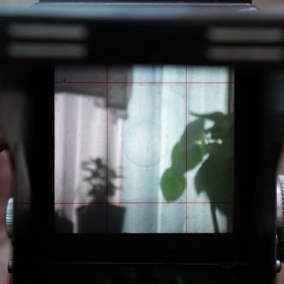 shishitow3_aohr's profile picture. 食べれる時 食べときや。