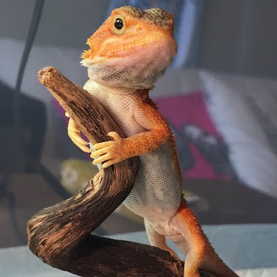 works_maa1300's profile picture. 